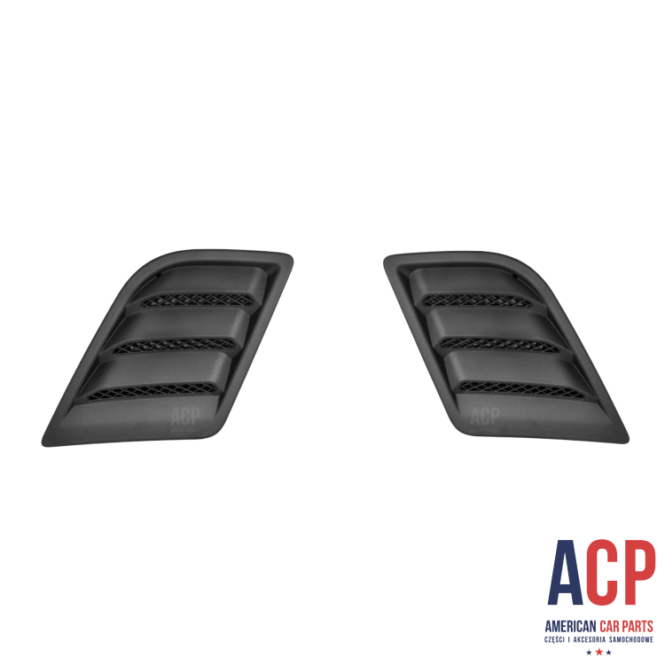 RAM 1500 Kratka:zaślepka maski komplet 2019- .png